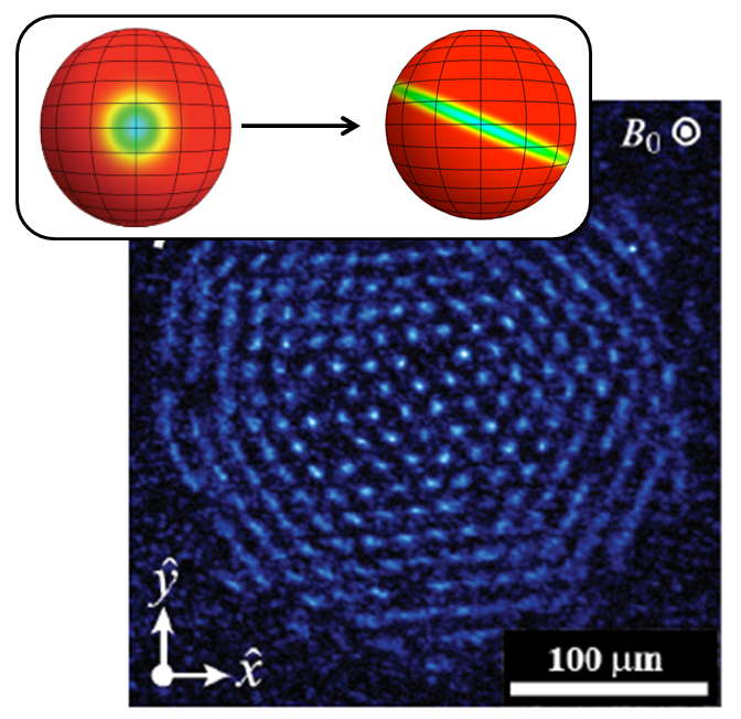 Calculated spin squeezing for trapped ions