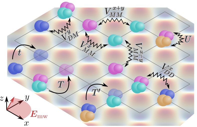 interaction processes in shielded molecule Hubbard model