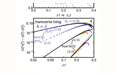 Representative figure for Quantum dynamics from a numerical linked cluster expansion