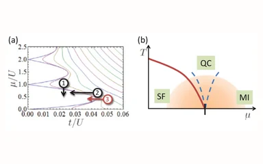 Representative figure from Techniques to measure quantum criticality in cold atoms