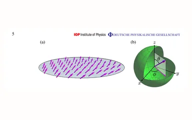 Representative figure for Dynamical quantum correlations of Ising models on an arbitrary lattice and their resilience to decoherence