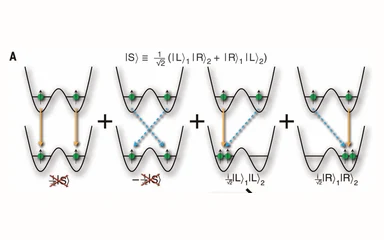 Representative figure from Two-particle quantum interference in tunnel-coupled optical tweezers