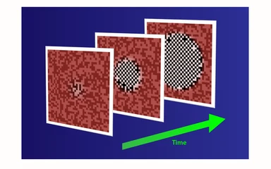 Representative figure from Viewpoint: Watching a quantum magnet grow in ultracold atoms