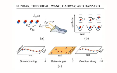 Representative figure for Strings of ultracold molecules in a synthetic dimension
