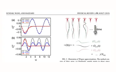 Representative figure for Analysis of continuous and discrete Wigner approximations for spin dynamics