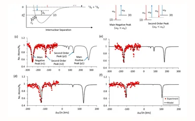Representative figure for High-intensity two-frequency photoassociation spectroscopy of a weakly bound molecular state: Theory and experiment