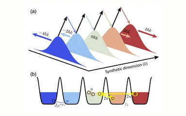 Representative figure for Nonlinear Dynamics in a Synthetic Momentum-State Lattice