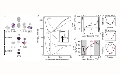 Representative figure from Second-scale rotational coherence and dipolar interactions in a gas of ultracold polar molecules