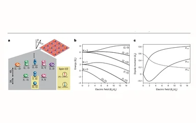 Representative figure for Quantum Computation and Quantum Simulation with Ultracold Molecules
