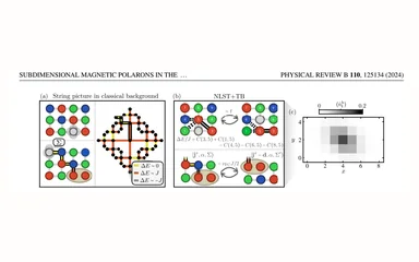 Representative figure for Sub-dimensional magnetic polarons in the one-hole doped SU(3) t-J model