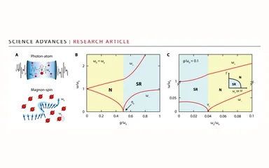 Representative figure for Observation of the Magnonic Dicke Superradiant Phase Transition